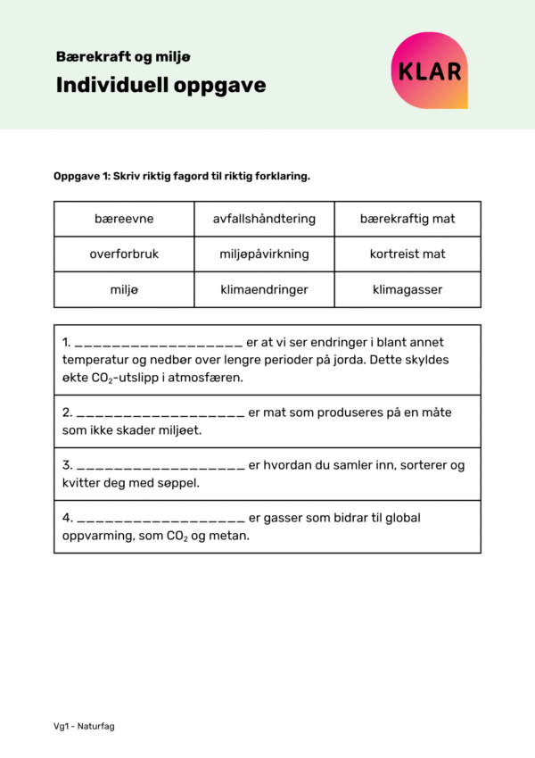 Bærekraft og miljø - Individuell oppgave