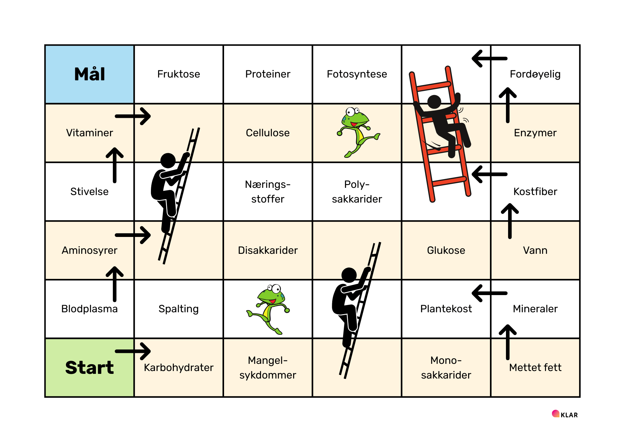 Næringsstoffer - stigespill