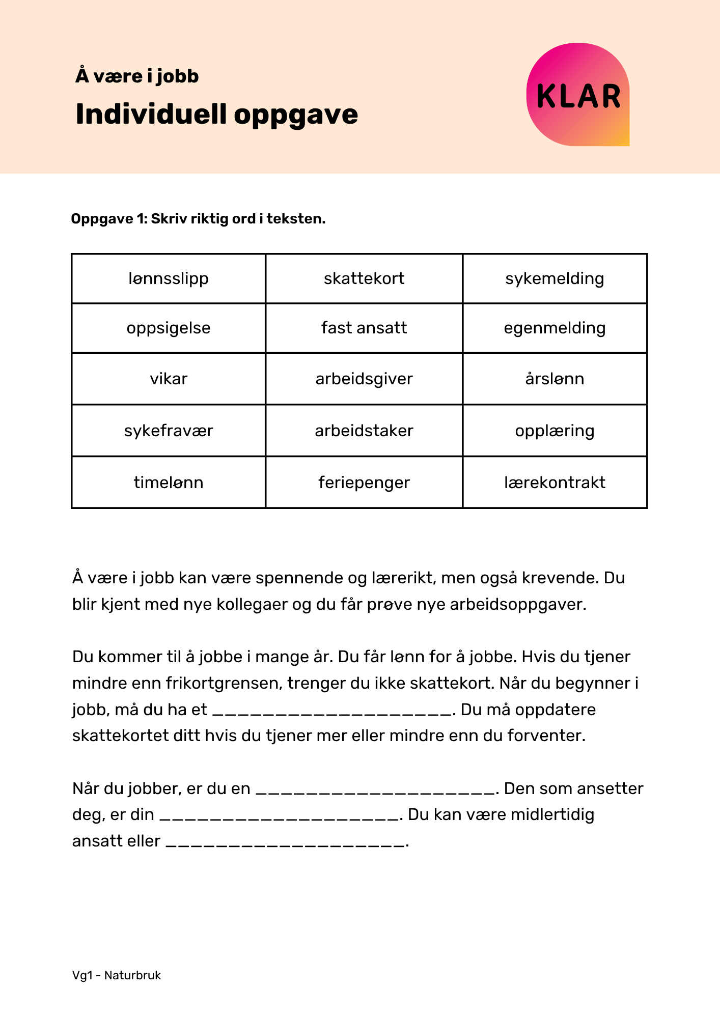 Å være i jobb - individuell oppgave
