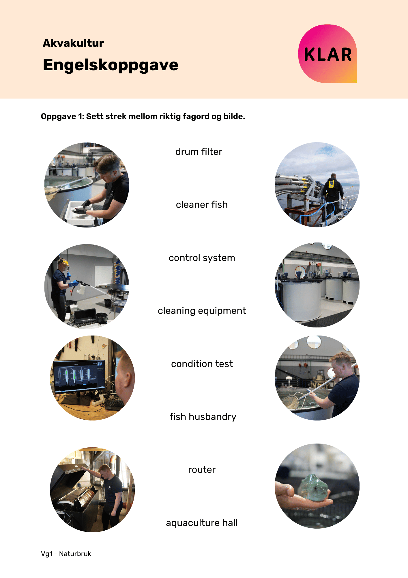 Akvakultur - engelskoppgave