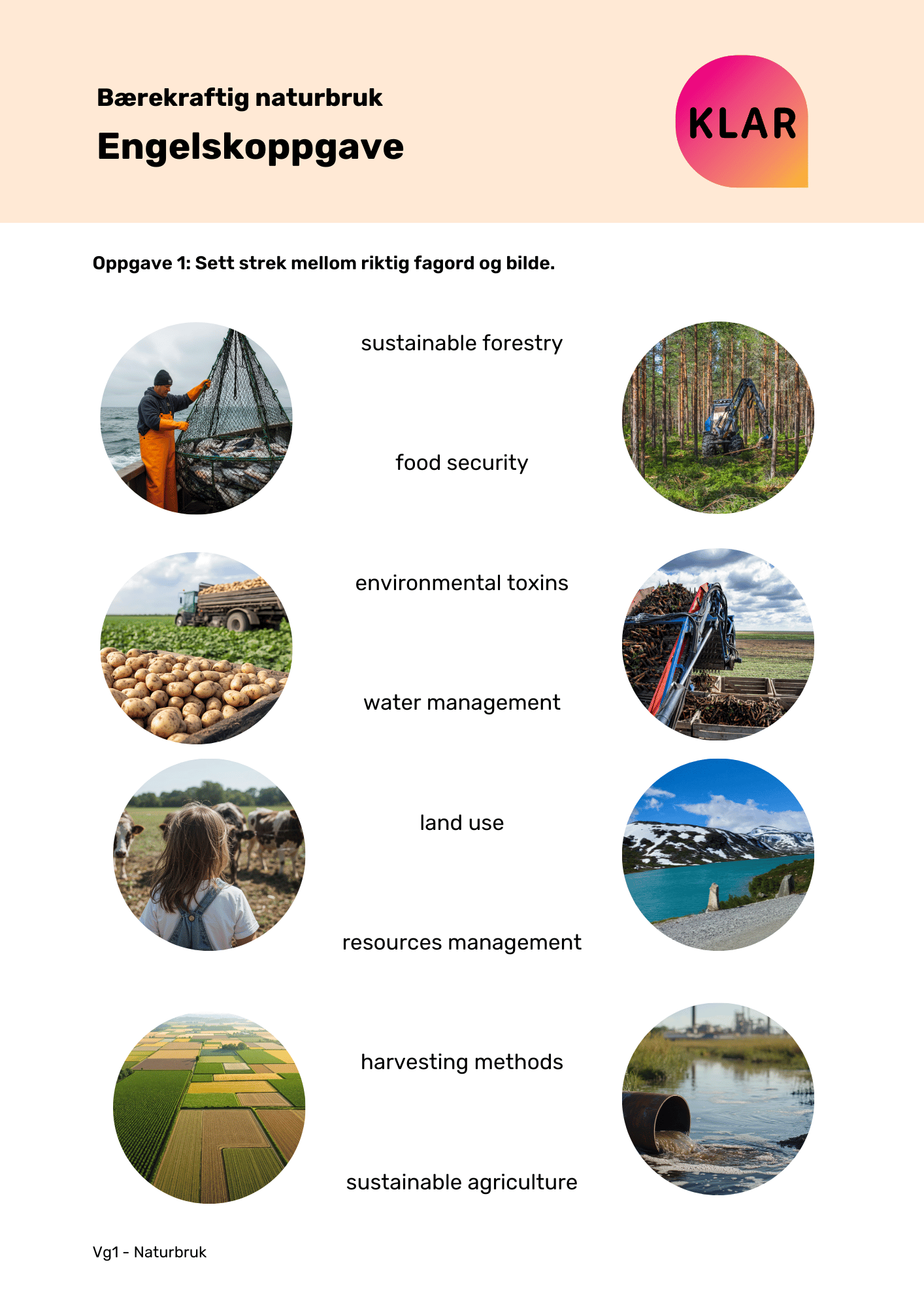 Bærekraftig naturbruk - engelskoppgave
