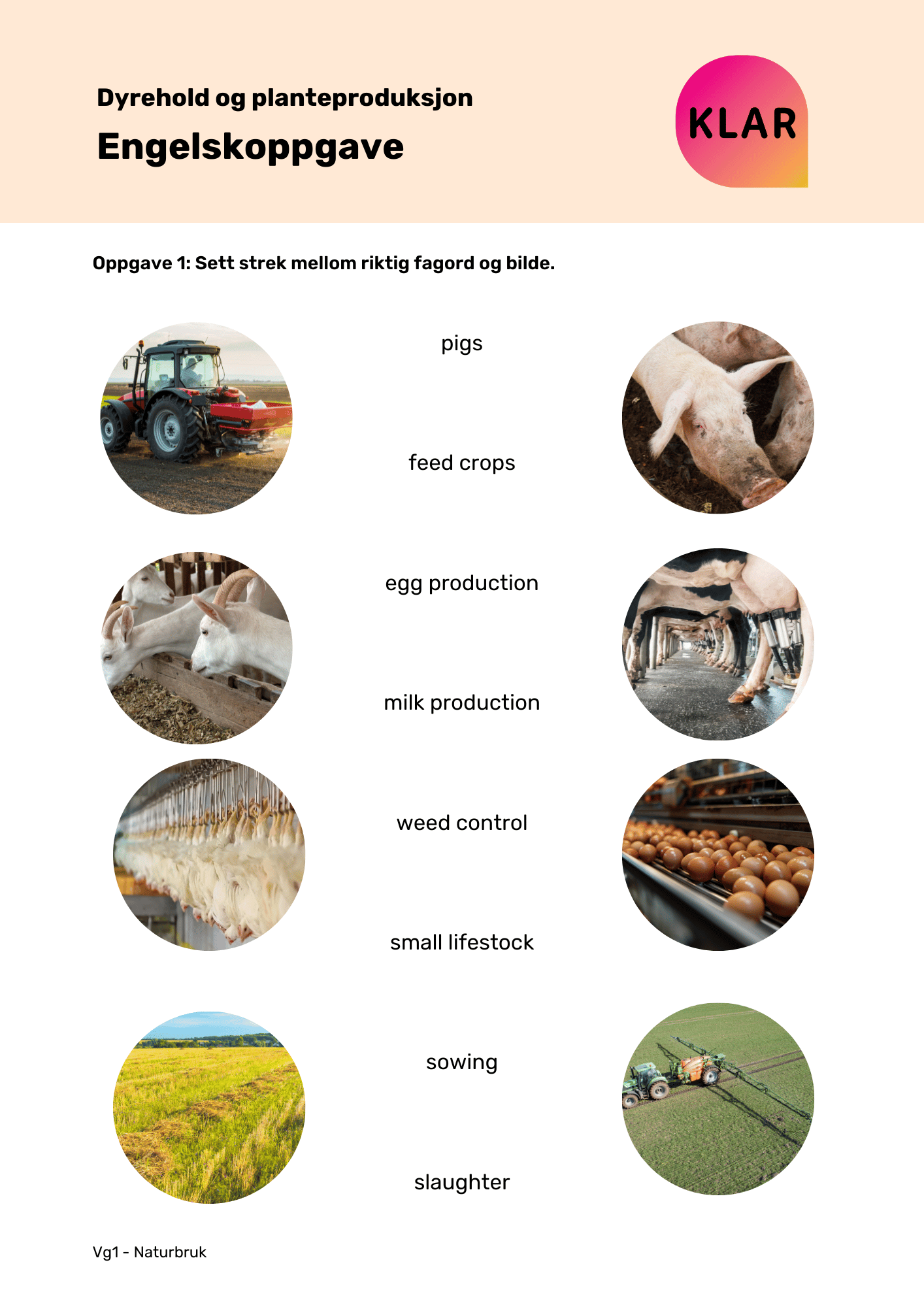 Dyrehold og planteproduksjon - engelskoppgave
