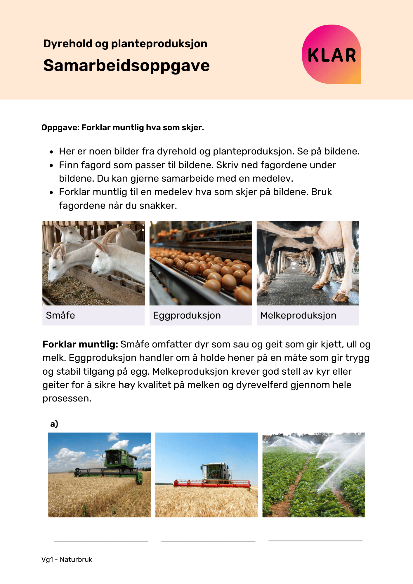 Dyrehold og planteproduksjon - samarbeidsoppgave