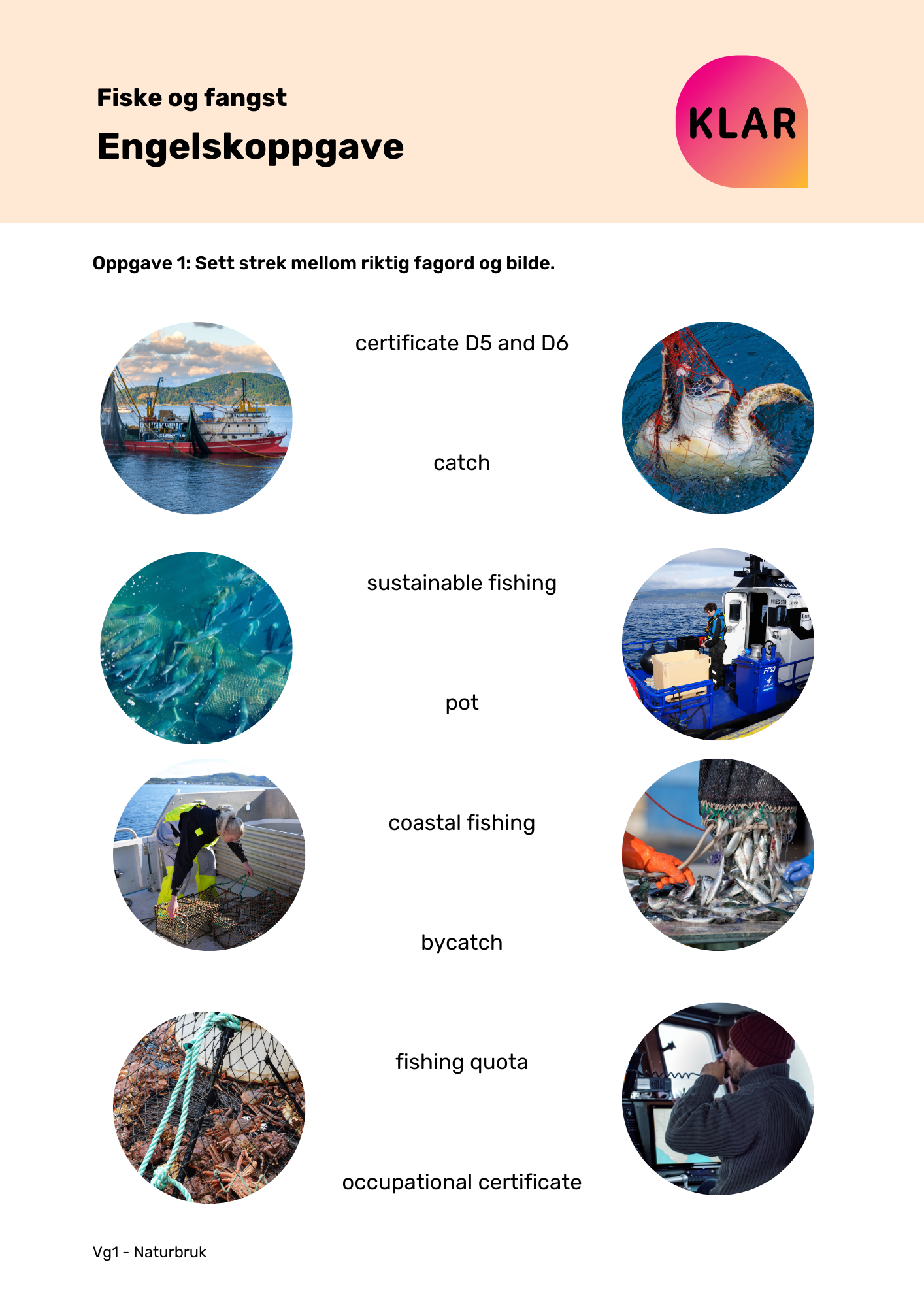 Fiske og fangst - engelskoppgave