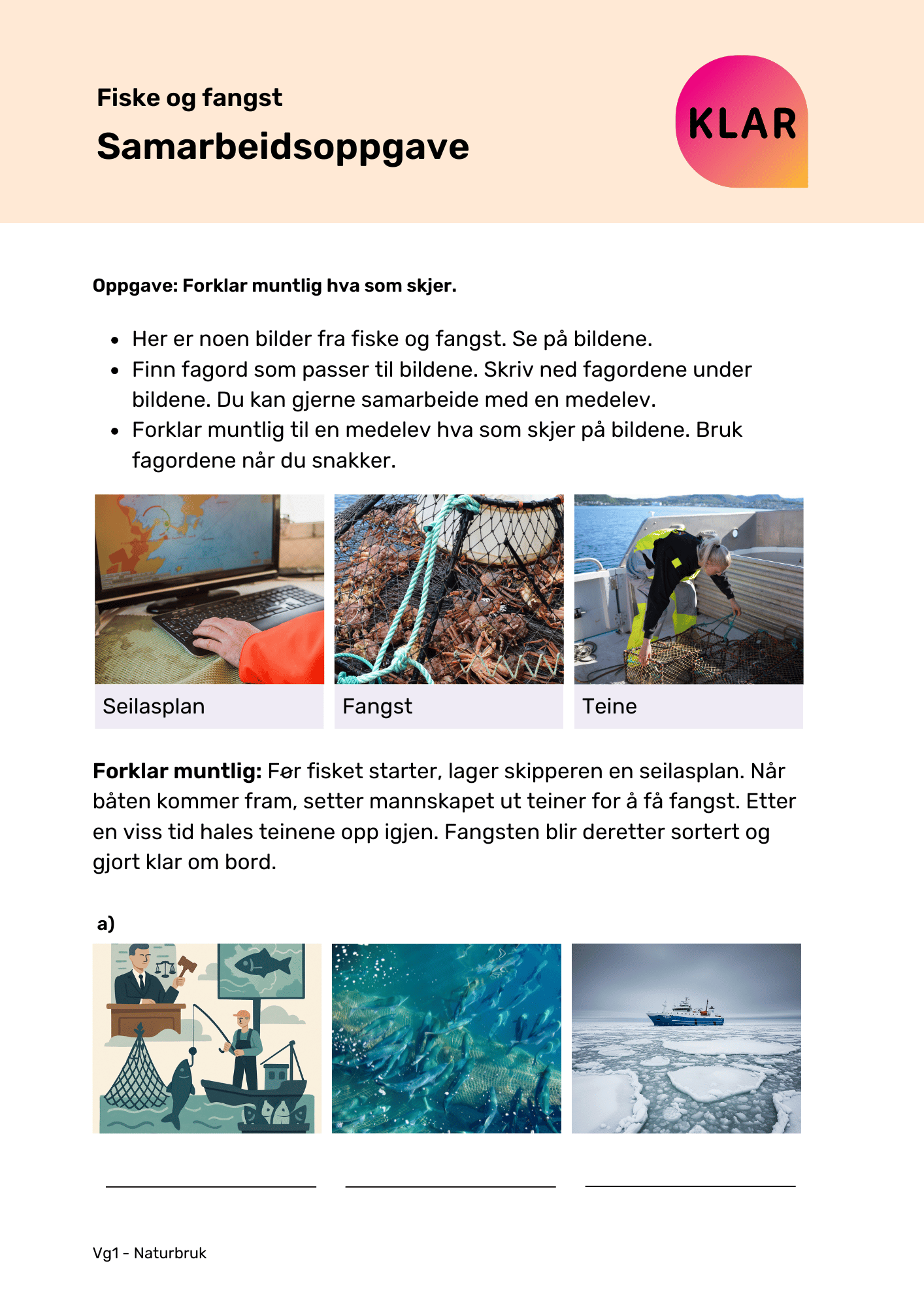 Fiske og fangst - samarbeidsoppgave