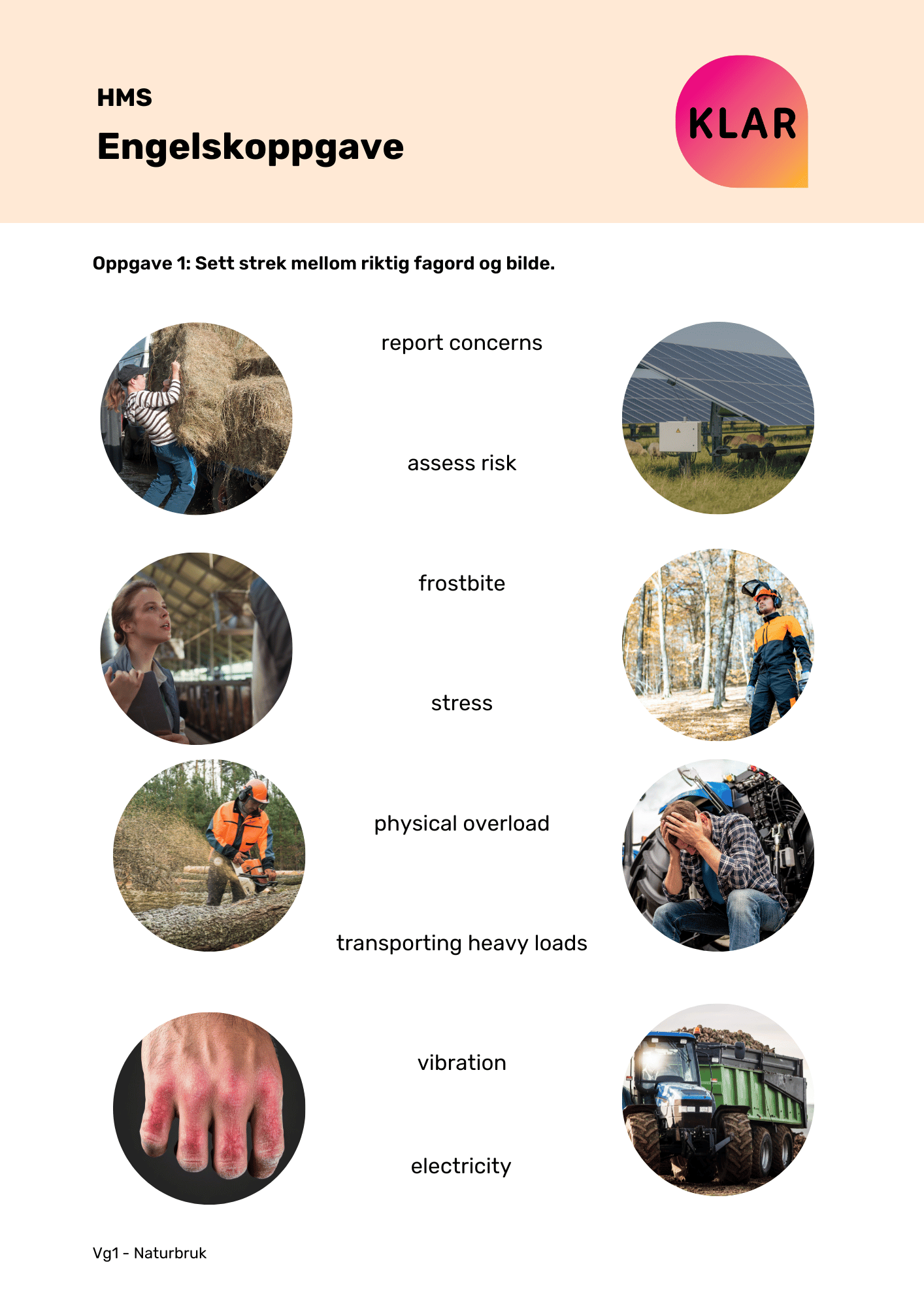 HMS - engelskoppgave