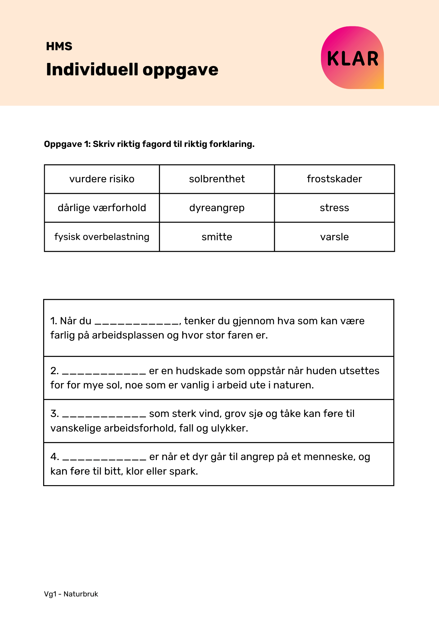 HMS - indviduell oppgave