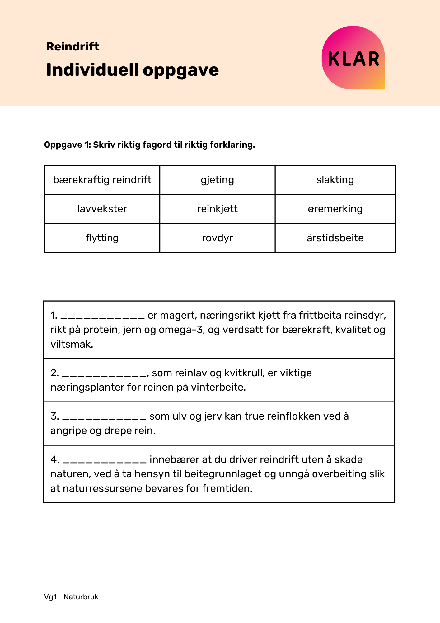 Reindrift - individuell oppgave