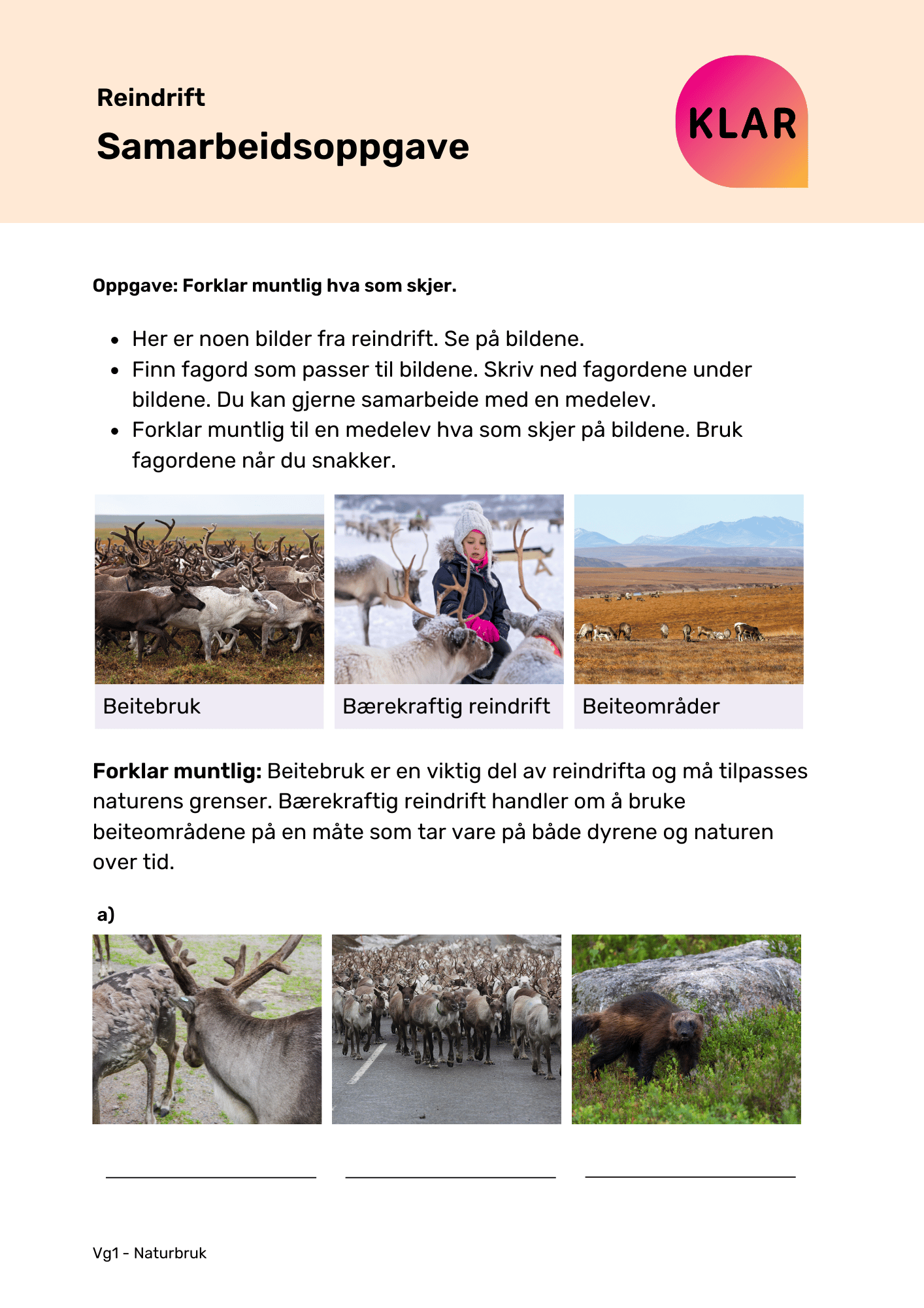 Reindrift - samarbeidsoppgave