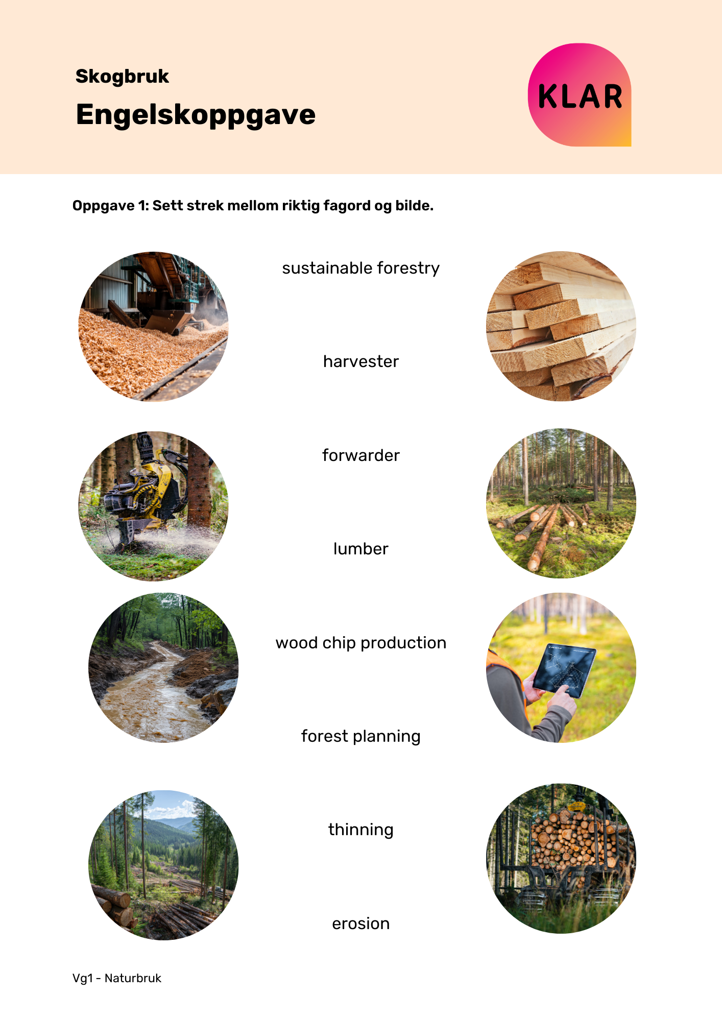 Skogbruk - engelskoppgave