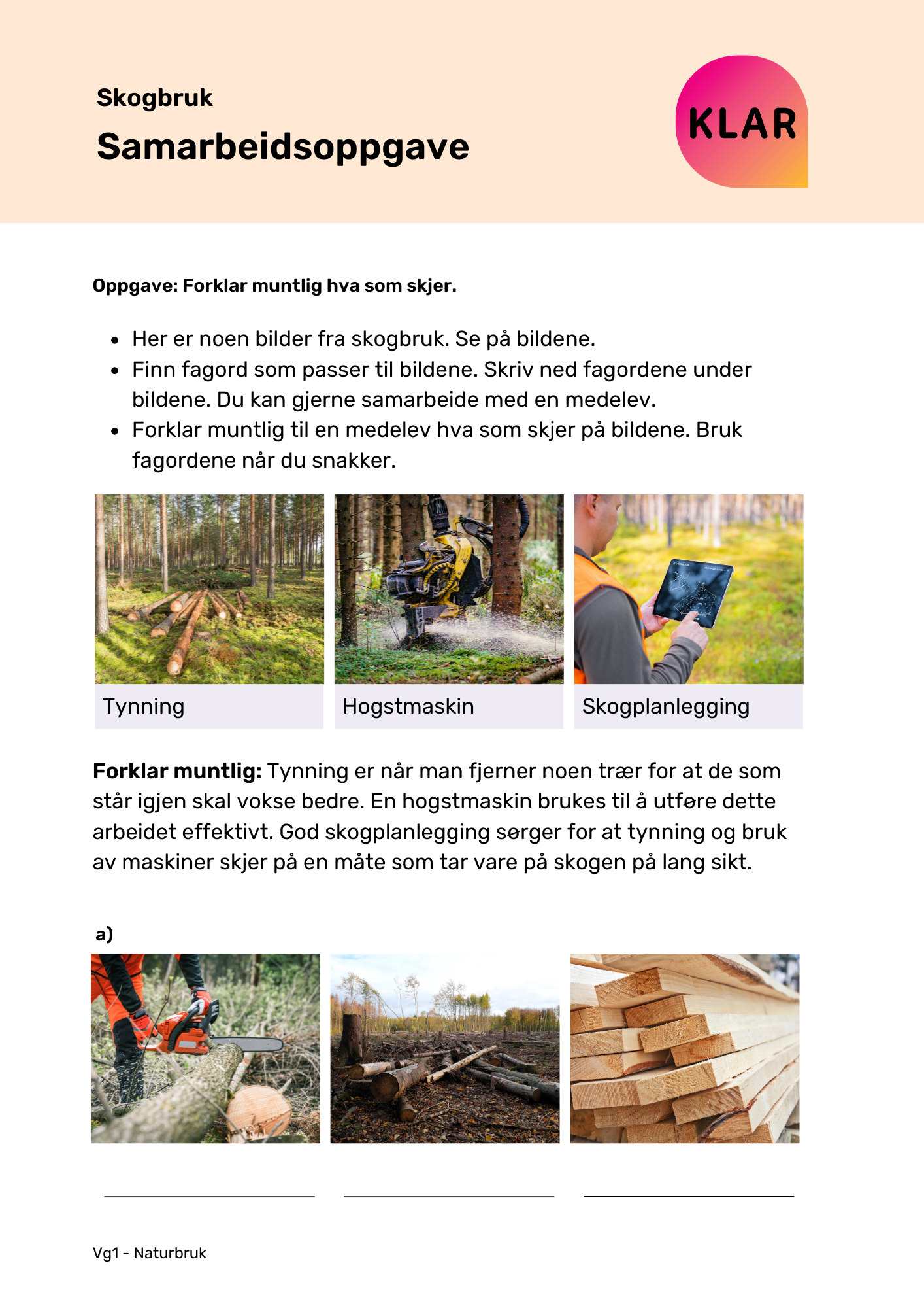 Skogbruk - samarbeidsoppgave
