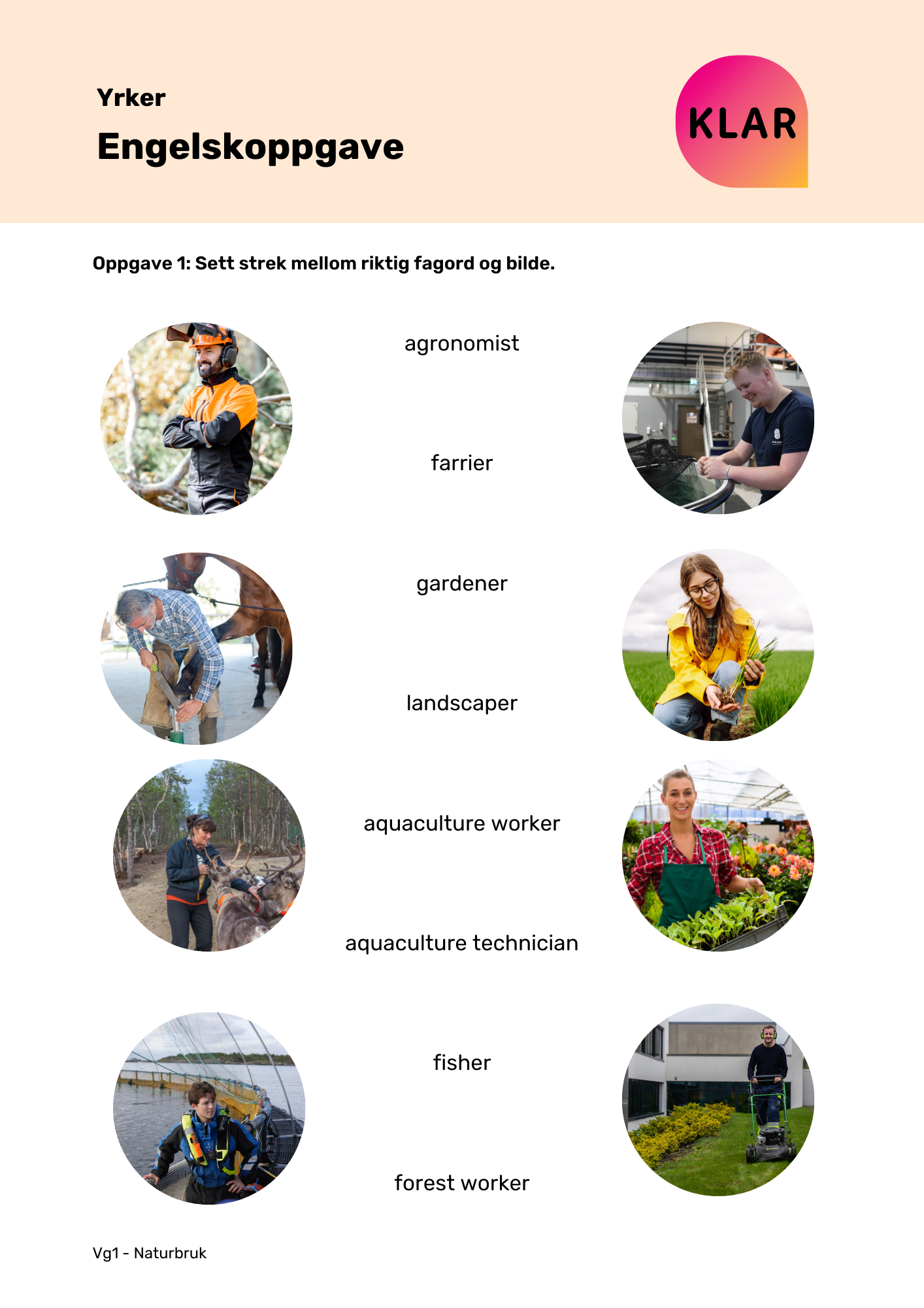 Yrker - engelskoppgave