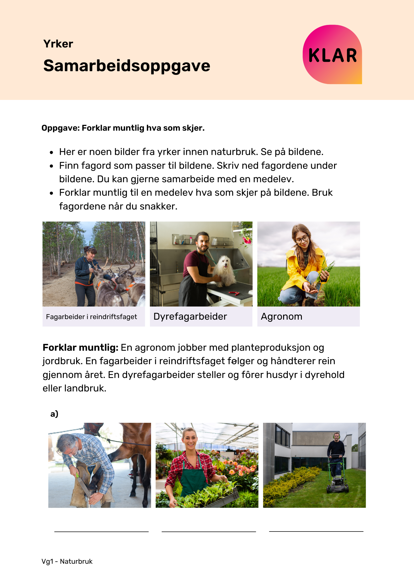 Yrker - samarbeidsoppgave