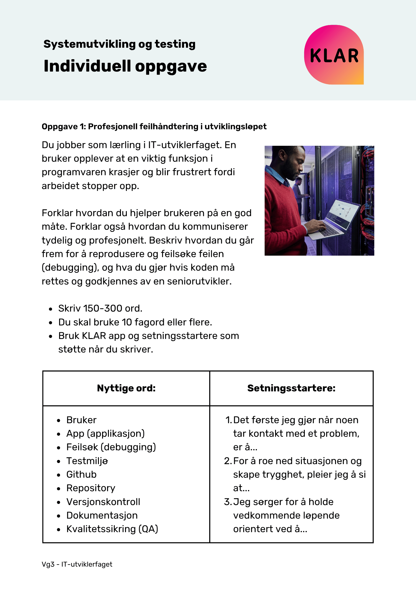 Systemutvikling og testing - Individuell oppgave