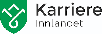 Forside 29 karriere innladnet