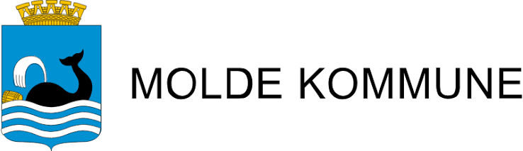 Forside 30 molde